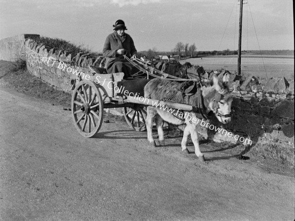 OLD WOMAN DONKEY AND CART